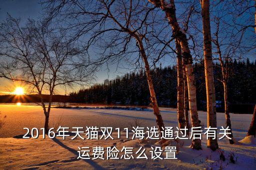 2016年天貓雙11海選通過后有關運費險怎么設置