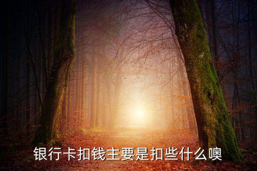 銀行每個月扣的是什么費用，現(xiàn)在銀行一個月要在卡里扣多少錢