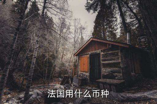 法國(guó)用什么幣種