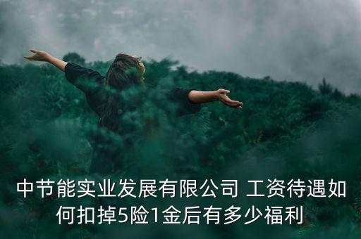 中節(jié)能集團(tuán)什么級別，中節(jié)能實業(yè)發(fā)展有限公司 工資待遇如何扣掉5險1金后有多少福利