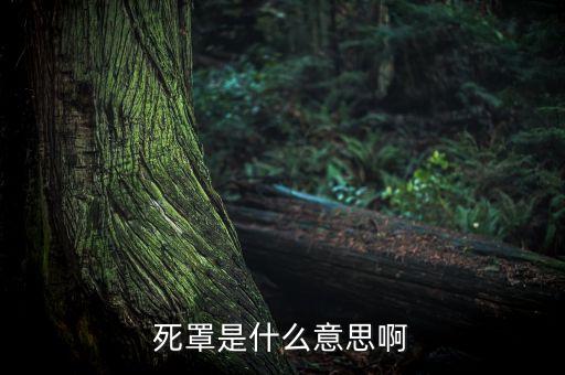 死扛是什么意思，死 黨是什么意思