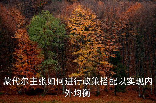 蒙代爾主張如何進(jìn)行政策搭配以實(shí)現(xiàn)內(nèi)外均衡