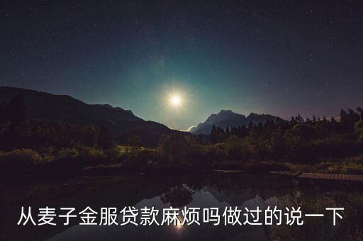 麥子金服是做什么的，麥子金服的名字由來