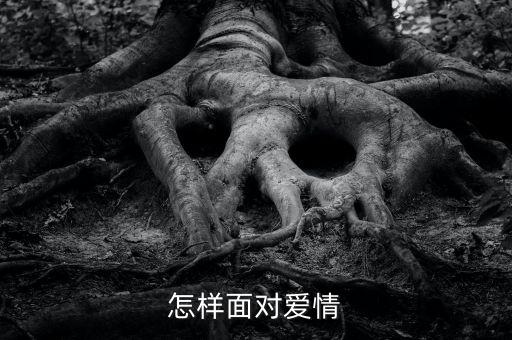舉牌老鼠叫什么，賽爾號7大電影的名 字叫什么