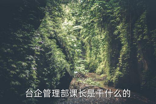 臺企管理部課長是干什么的