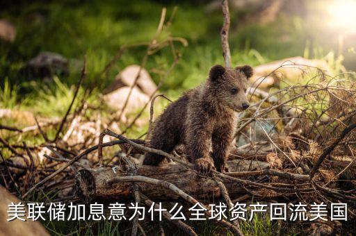 美元回流是什么意思，如果世界各國(guó)的美元全都回流到美國(guó)會(huì)發(fā)生什么事