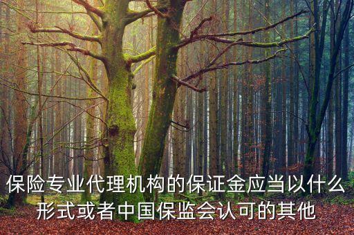 保險(xiǎn)專業(yè)代理機(jī)構(gòu)的保證金應(yīng)當(dāng)以什么形式或者中國(guó)保監(jiān)會(huì)認(rèn)可的其他