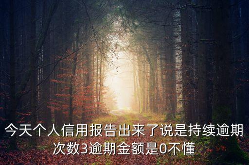 信用報(bào)告出現(xiàn)了3是什么意思，個(gè)人征信上其他貸款寫(xiě)的3是什么意思