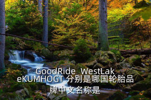 GoodRide  WestLakeKUMHOGT 分別是哪國(guó)輪胎品牌中文名稱是