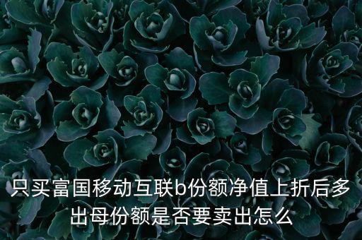 富國互聯(lián)什么倉，富國移動互聯(lián)161025封閉了嗎