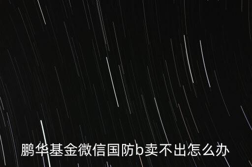 鵬華基金微信國防b賣不出怎么辦