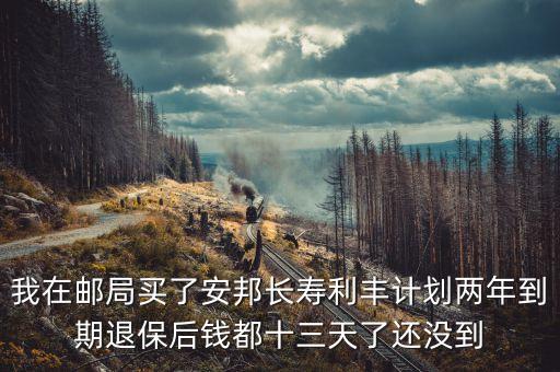 長(zhǎng)壽利豐保險(xiǎn)計(jì)劃是屬于什么險(xiǎn)，安邦長(zhǎng)壽利豐保險(xiǎn)在銀行買的兩年期的安全可靠嗎利率是多少呢