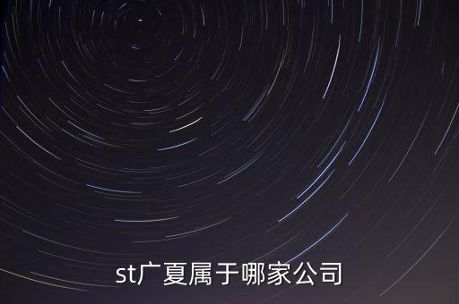 st廣夏屬于哪家公司