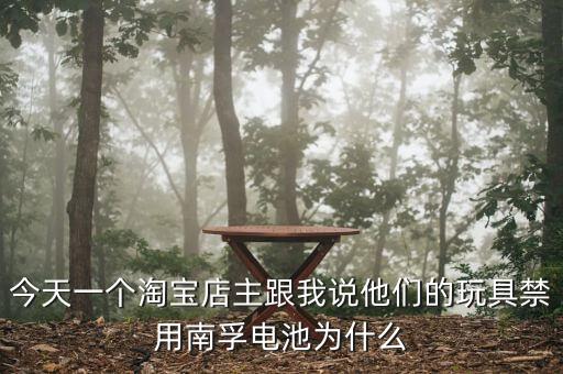 南孚電池為什么不直接登錄新三板，今天一個(gè)淘寶店主跟我說他們的玩具禁用南孚電池為什么