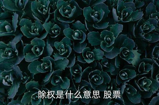 除權(quán)股是什么，除權(quán)是什么意思 股票