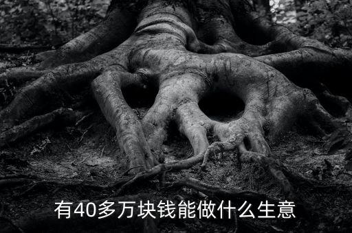 有40多萬塊錢能做什么生意