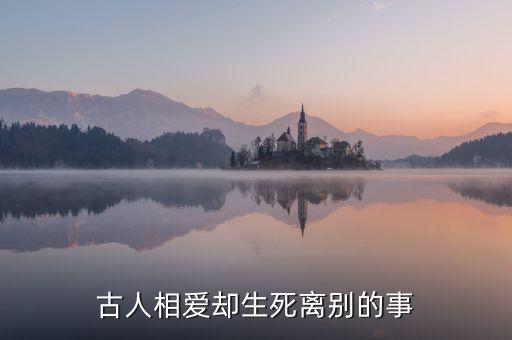 九州行情是什么意思，回鄉(xiāng)偶書的解釋