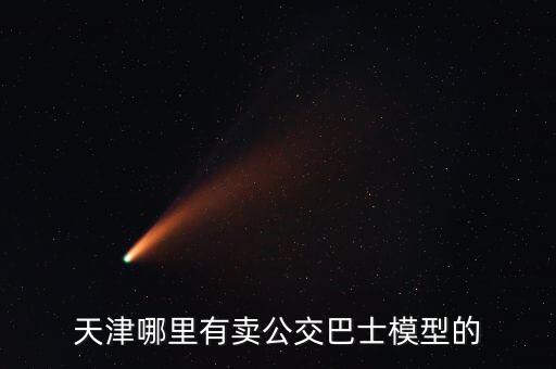 天津什么地方政府公車拍賣，天津哪里有賣公交巴士模型的