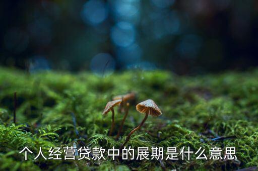 個人經(jīng)營貸款中的展期是什么意思
