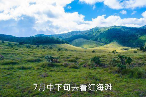 中國紅海什么時候去看，7月中下旬去看紅海灘