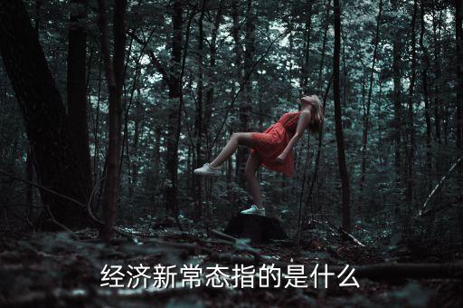 經(jīng)濟新常態(tài)什么時候提出的，the new economic policy是哪時候提出的