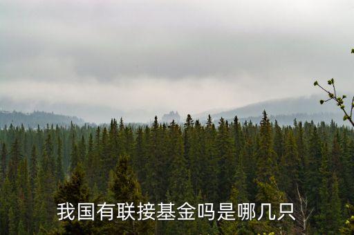 我國(guó)有聯(lián)接基金嗎是哪幾只