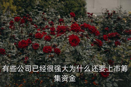 有些公司已經(jīng)很強大為什么還要上市籌集資金