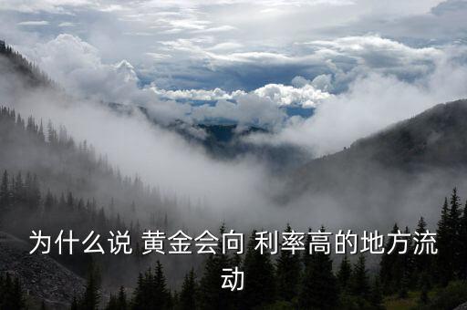 為什么投資會(huì)流向利率高的國家，在其他條件相對(duì)不變的情況下 為什么資金會(huì)從利率低的國家流向利率高