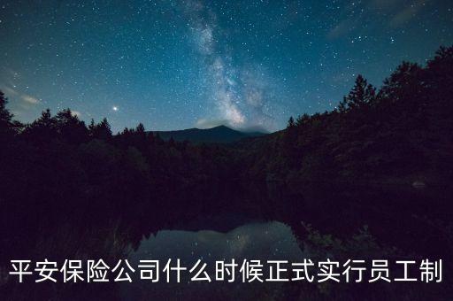保險業(yè)什么時候?qū)嵭袉T工制，平安保險公司什么時候正式實行員工制