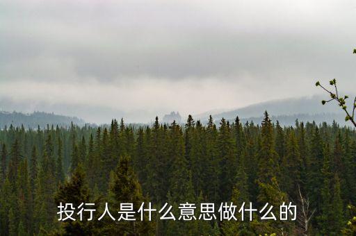 投行人是什么意思做什么的