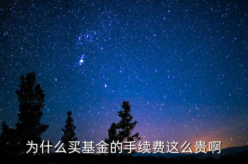 為什么買基金的手續(xù)費(fèi)這么貴啊