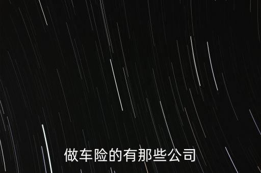 做車險的有那些公司