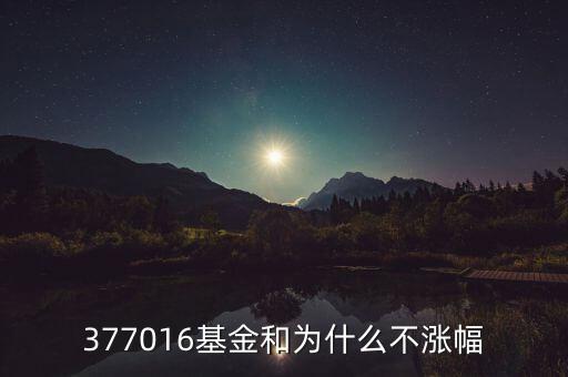 377016基金和為什么不漲幅