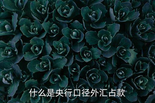口徑外外匯占款是什么意思，什么是央行口徑外匯占款