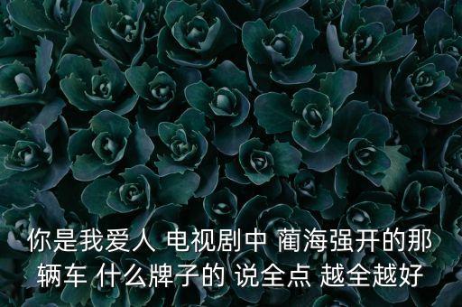 150093是什么車，你是我愛人 電視劇中 藺海強開的那輛車 什么牌子的 說全點 越全越好