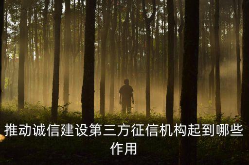 為什么要大力發(fā)展個(gè)人征信機(jī)構(gòu)，推動(dòng)誠(chéng)信建設(shè)第三方征信機(jī)構(gòu)起到哪些作用