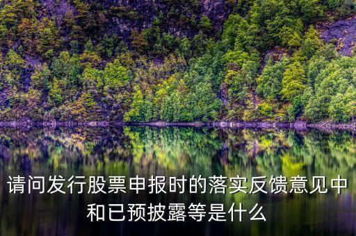 證監(jiān)會已反饋是什么意思，請問發(fā)行股票申報時的落實(shí)反饋意見中和已預(yù)披露等是什么