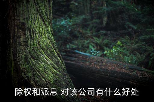 除權(quán)對公司有什么好處，除權(quán)和派息 對該公司有什么好處