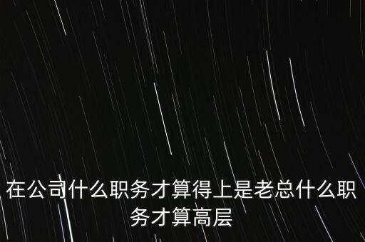在公司什么職務(wù)才算得上是老總什么職務(wù)才算高層