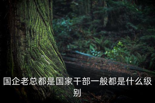 中國人壽董事長什么級別，國企老總都是國家干部一般都是什么級別