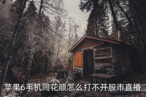 蘋果6手機同花順怎么打不開股市直播