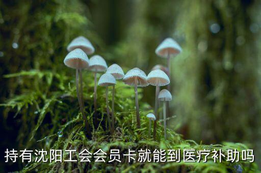 沈陽建行工會(huì)卡什么用，工會(huì)會(huì)員服務(wù)卡有什么用