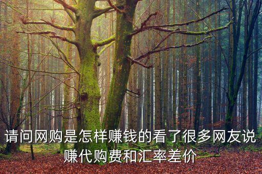 請問網(wǎng)購是怎樣賺錢的看了很多網(wǎng)友說賺代購費和匯率差價