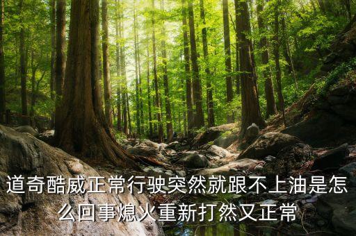 道奇熄火為什么，道奇褲威行車途中突然熄火停下來在啟動不起什么原因