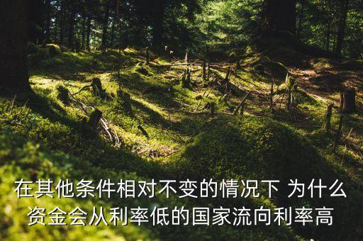在其他條件相對不變的情況下 為什么資金會從利率低的國家流向利率高