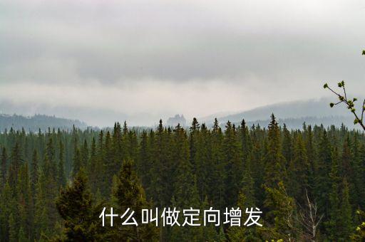 中科金財定向增發(fā)什么意思，什么叫做定向增發(fā)