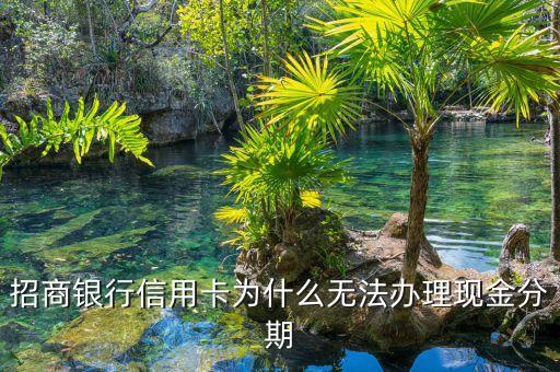 招商銀行信用卡為什么無法辦理現(xiàn)金分期