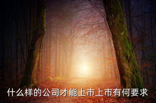 什么樣的公司可以上市，什么樣的公司才能上市上市有何要求