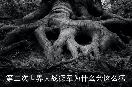 德國(guó)為什么能超越中國(guó)，第二次世界大戰(zhàn)德軍為什么會(huì)這么猛