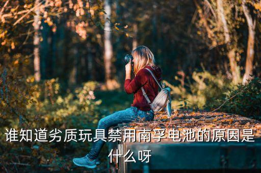 誰知道劣質(zhì)玩具禁用南孚電池的原因是什么呀